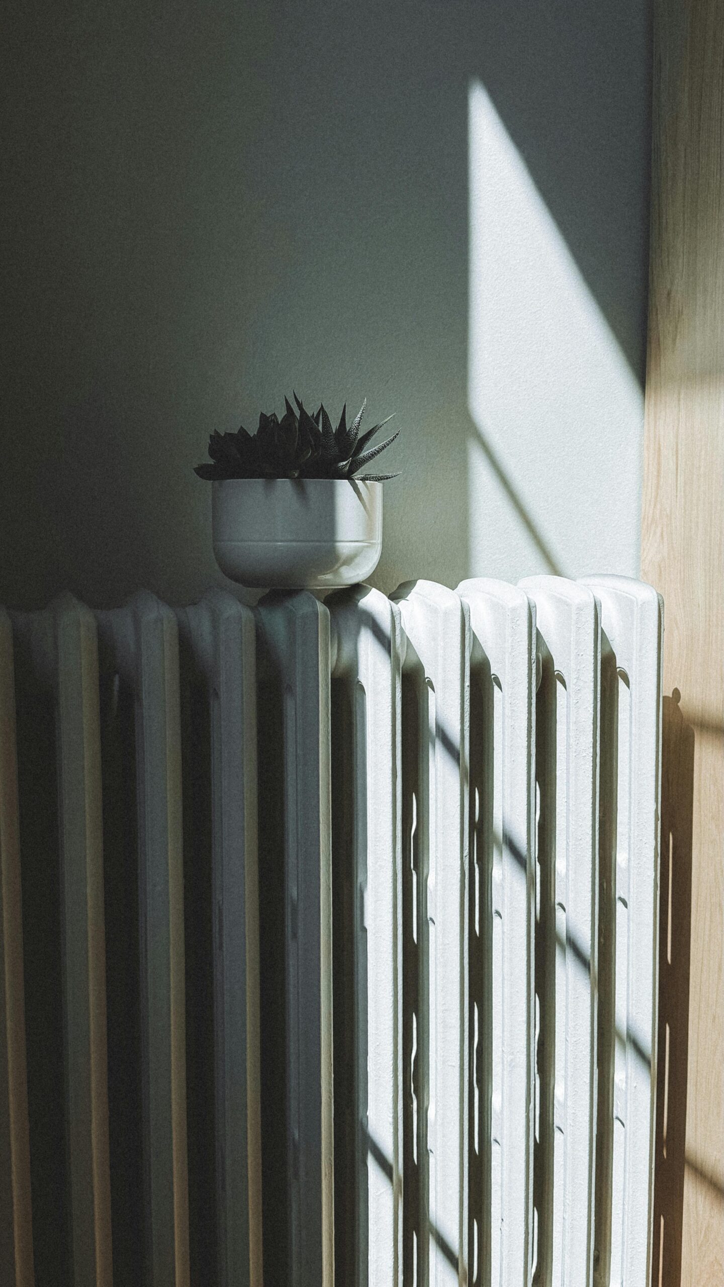 Jakie grzejniki wybrać do domu?